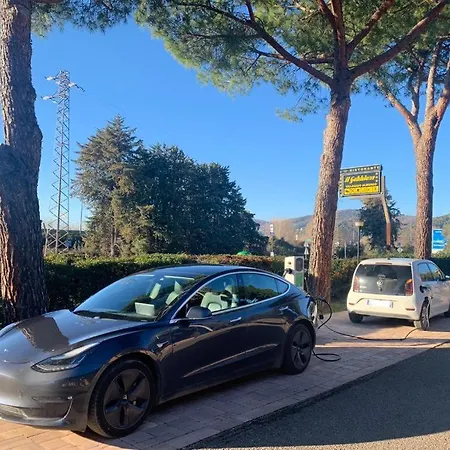Ristorante Il Gabbiano ホテル 3*